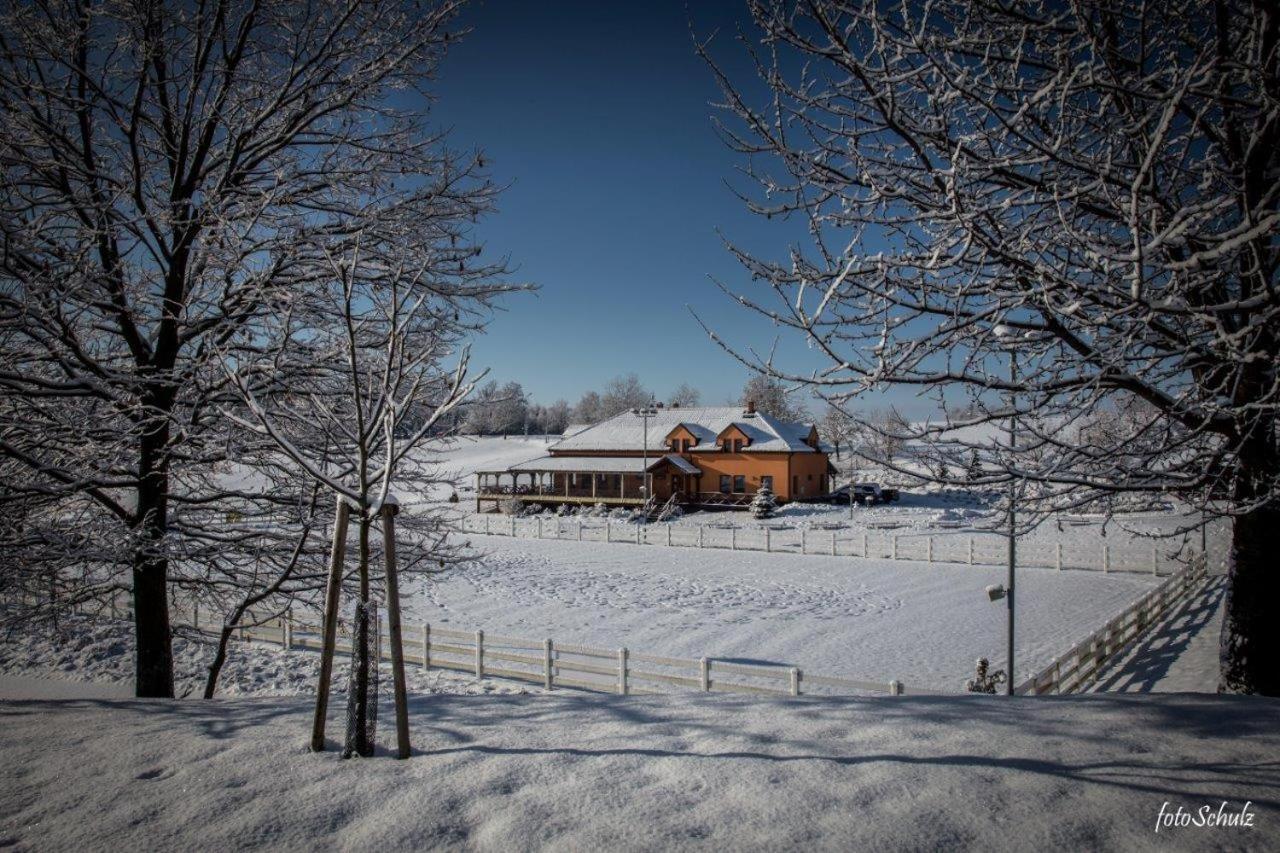 Hotel Horse Riding - Jezdecky Areal Tršice Kültér fotó