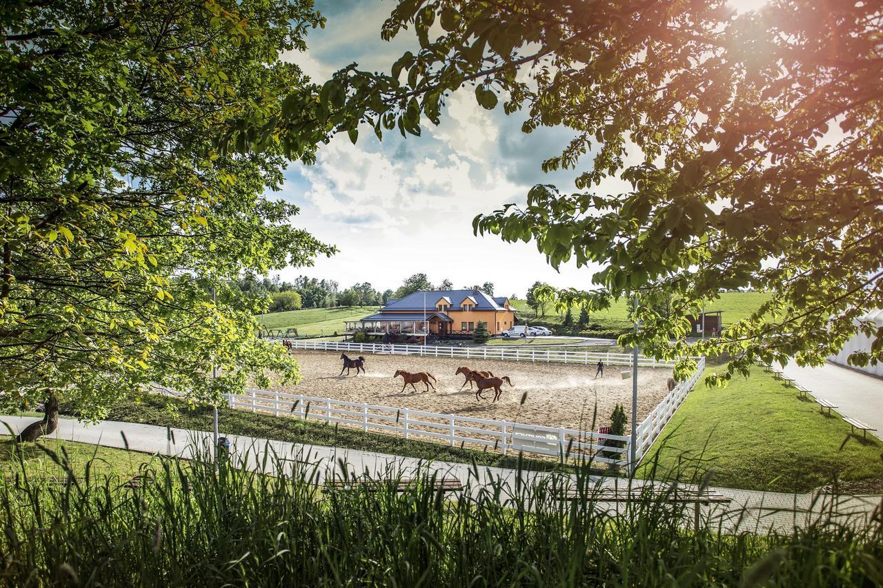 Hotel Horse Riding - Jezdecky Areal Tršice Kültér fotó