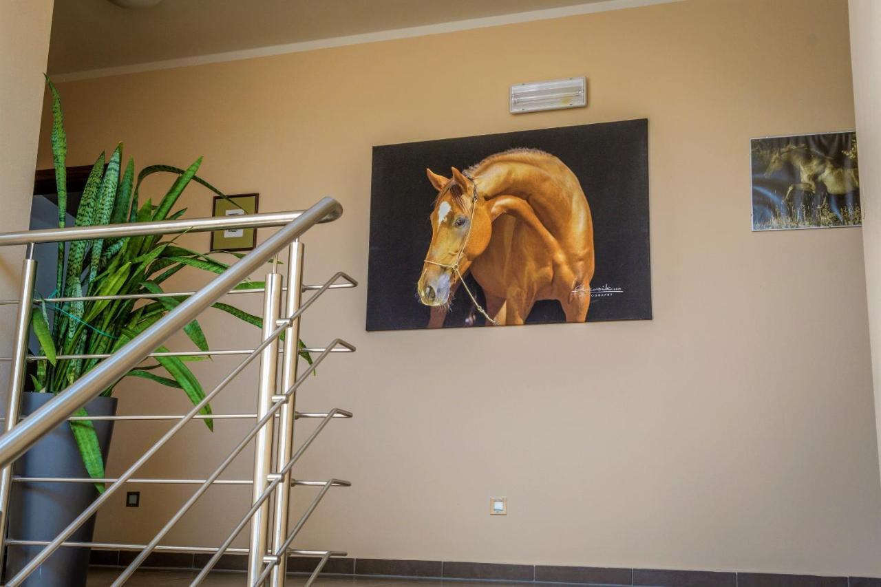 Hotel Horse Riding - Jezdecky Areal Tršice Kültér fotó