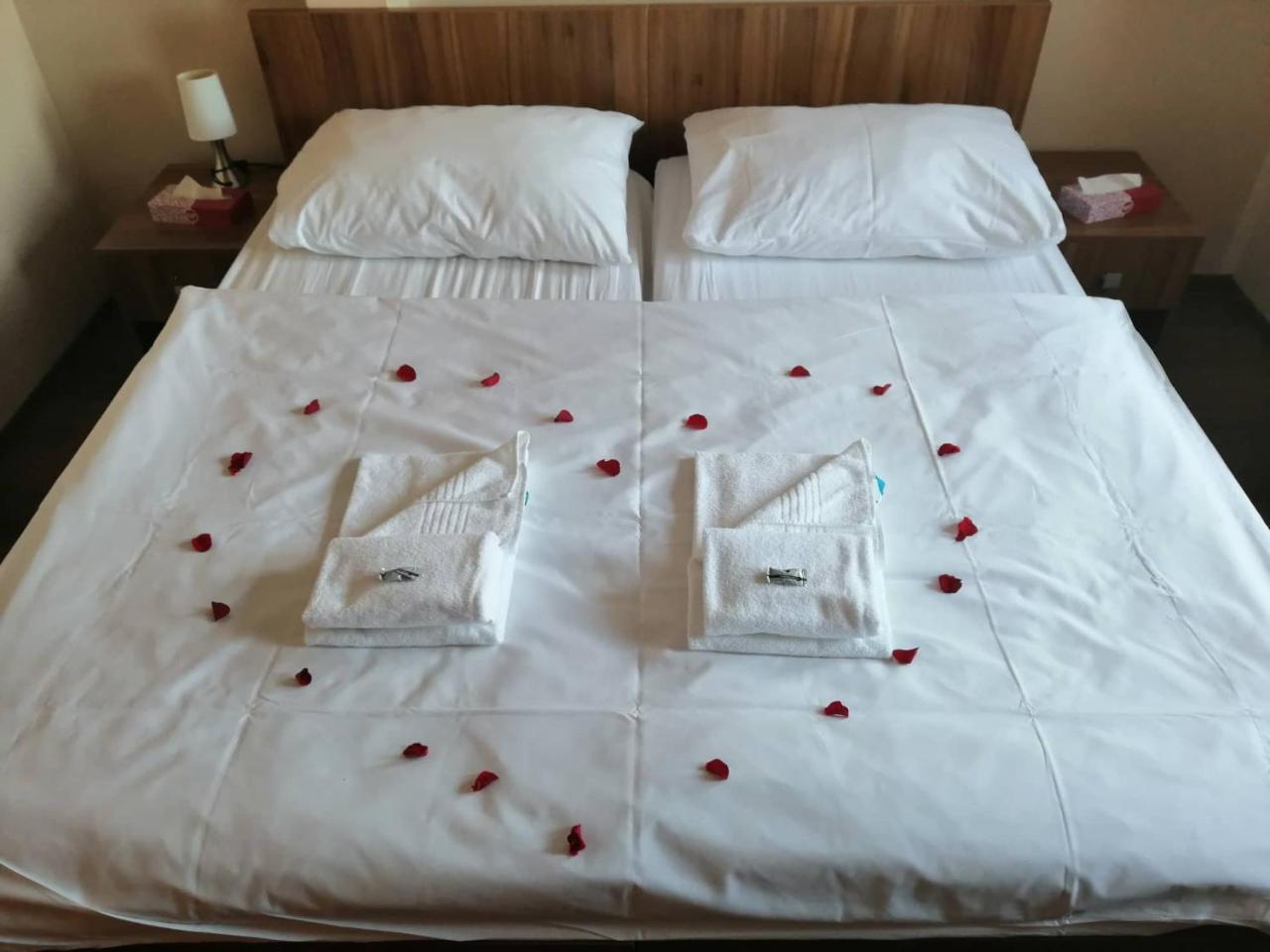 Hotel Horse Riding - Jezdecky Areal Tršice Kültér fotó